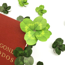 Load image into Gallery viewer, Four Leaf Clover -  Flower Folding Card