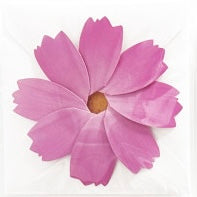 Load image into Gallery viewer, Cosmos - Flower Folding Card