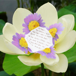 Marguerite - Flower Folding Card