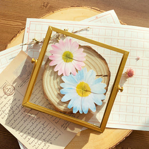 Daisy - Flower Folding Card