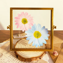 Load image into Gallery viewer, Daisy - Flower Folding Card