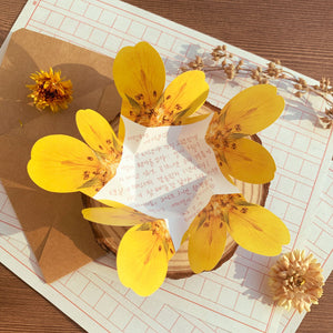 Cinquefoil - Flower Folding Card