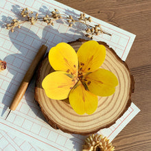 Load image into Gallery viewer, Cinquefoil - Flower Folding Card