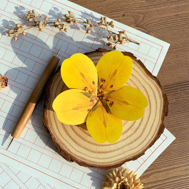 Cinquefoil - Flower Folding Card