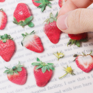 Fruit Sticker - Strawberry