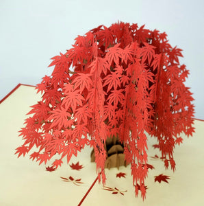 Large Red Maple - Pop Up Card