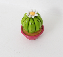 Load image into Gallery viewer, Miniature Cacti