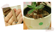 Load image into Gallery viewer, Antique Stamp Number & Symbol (15 Pieces)