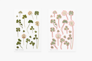 Pressed Flower Sticker - Four Leaf Clover