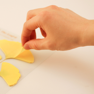 Sticky Leaf - Memo Notes - Ginkgo (Small)