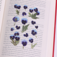 Load image into Gallery viewer, Pressed Flower Sticker - Pansy