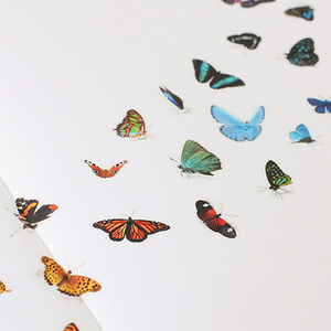 Nature Sticker - Butterfly