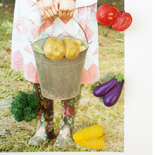 Load image into Gallery viewer, Vegetable Magnets - 5 Piece Set