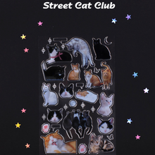 Load image into Gallery viewer, Silver and Street Cat Club Stickers