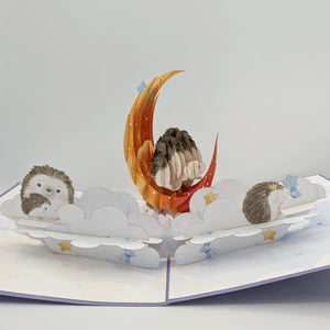 Hedgehog Moon Pop Up Card