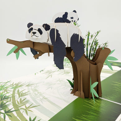 Panda - Pop Up Card