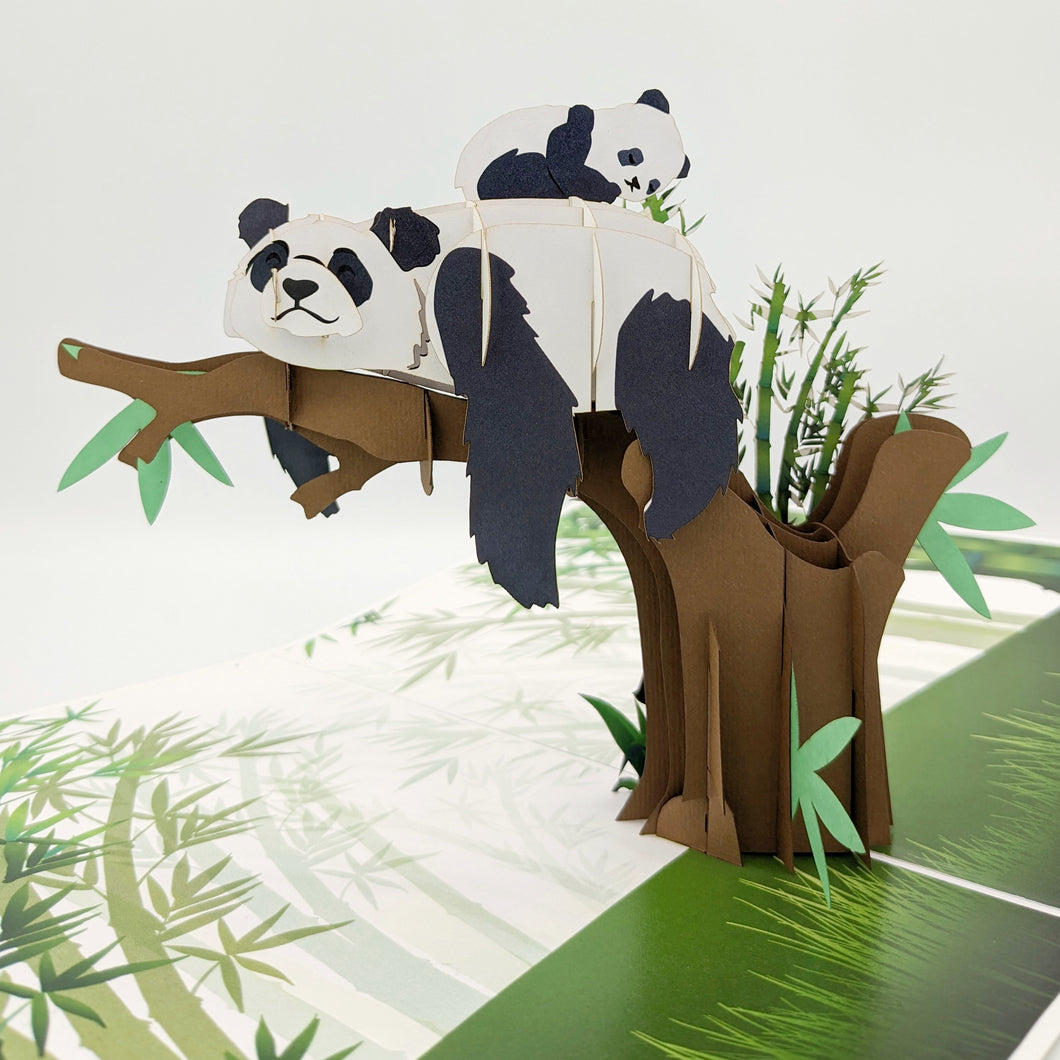 Panda - Pop Up Card