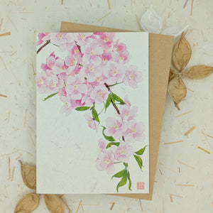 Cherry Blossom Branch - Greeting Card