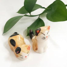 Load image into Gallery viewer, Spotted Cats and Bench Set