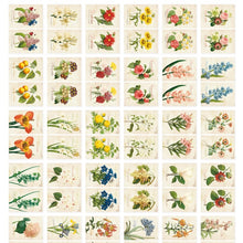Load image into Gallery viewer, Mini Label Sticker Pack - Flower