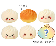 Load image into Gallery viewer, Find the Fried Dumpling Mystery Squishy