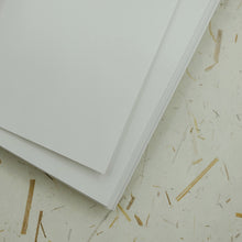Load image into Gallery viewer, Chill Cats - Blank Notebook
