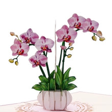 Load image into Gallery viewer, Orchid Plant - Pop Up Card