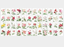 Load image into Gallery viewer, Label and Mini Sticker Pack - Rose