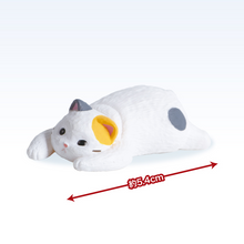 Load image into Gallery viewer, Emptiness Cats - Random Figure