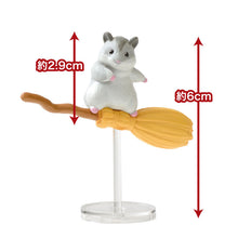 Load image into Gallery viewer, Flying Broom - Random Figure