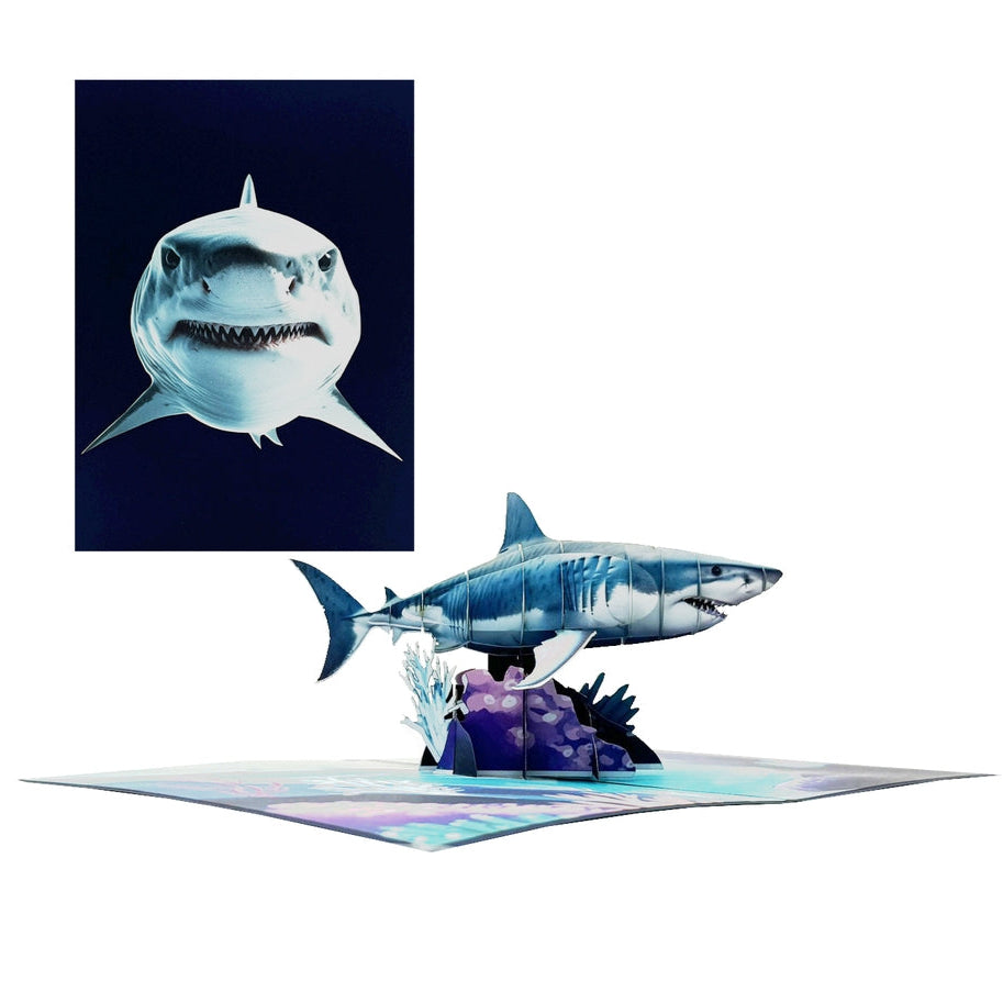 Shark - Pop Up Card