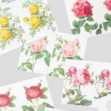 Load image into Gallery viewer, Label and Mini Sticker Pack - Rose