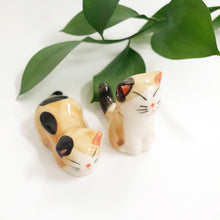 Load image into Gallery viewer, Spotted Cats and Bench Set