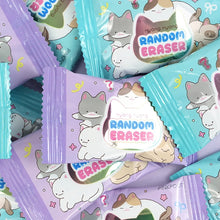 Load image into Gallery viewer, Random Eraser - Kitties