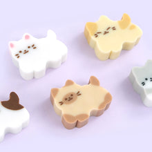 Load image into Gallery viewer, Random Eraser - Kitties