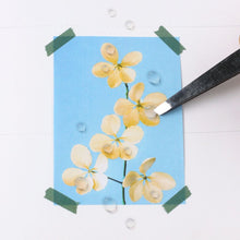 Load image into Gallery viewer, Nature Sticker - Water Drop