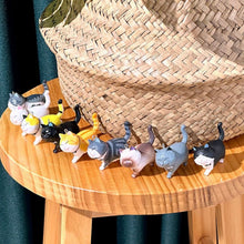 Load image into Gallery viewer, Find Your Best Cat - Mystery Keyring