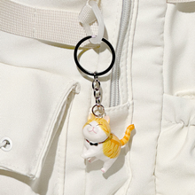 Load image into Gallery viewer, Find Your Best Cat - Mystery Keyring