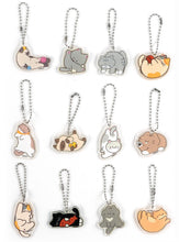 Load image into Gallery viewer, Random Keyring - Nyangnyang Kitty