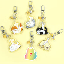 Load image into Gallery viewer, Pollack Kitty Random Keyring