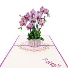 Load image into Gallery viewer, Orchid Plant - Pop Up Card