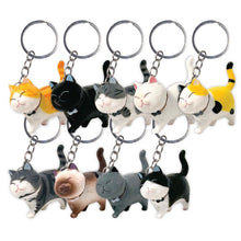 Load image into Gallery viewer, Find Your Best Cat - Mystery Keyring