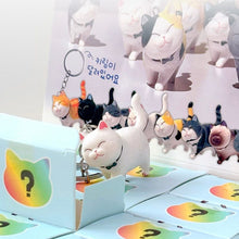 Load image into Gallery viewer, Find Your Best Cat - Mystery Keyring