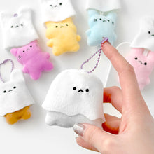 Load image into Gallery viewer, Find the Ghost Random Keyring