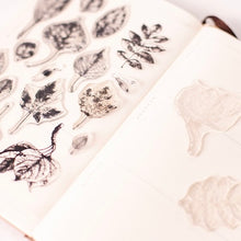 Load image into Gallery viewer, Fallen Leaves - Clear Stamp Set