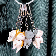 Load image into Gallery viewer, Find Your Best Cat - Mystery Keyring