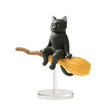 Load image into Gallery viewer, Flying Broom - Random Figure