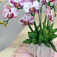 Load image into Gallery viewer, Orchid Plant - Pop Up Card