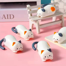Load image into Gallery viewer, Rolling Cat Toy