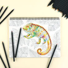Load image into Gallery viewer, 36-Colour Black Wood Pencil Crayon Set